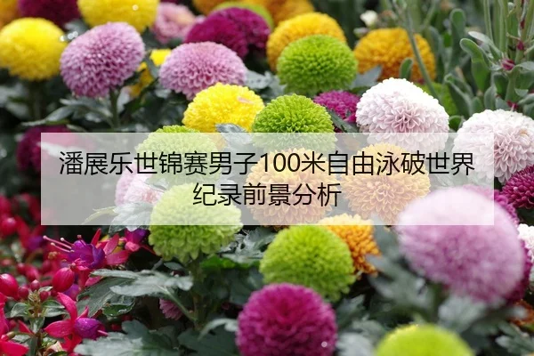 潘展乐世锦赛男子100米自由泳破世界纪录前景分析
