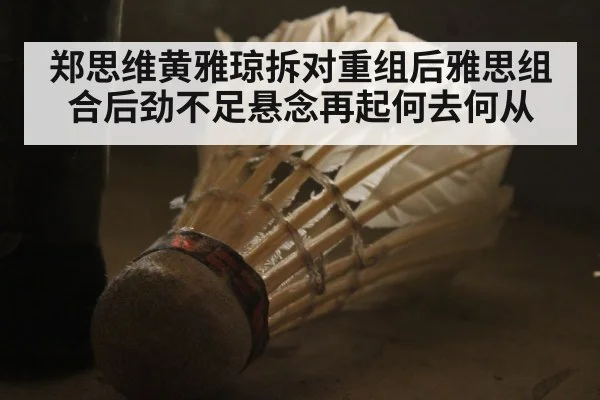 郑思维黄雅琼拆对重组后雅思组合后劲不足悬念再起何去何从